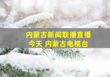 内蒙古新闻联播直播今天 内蒙古电视台